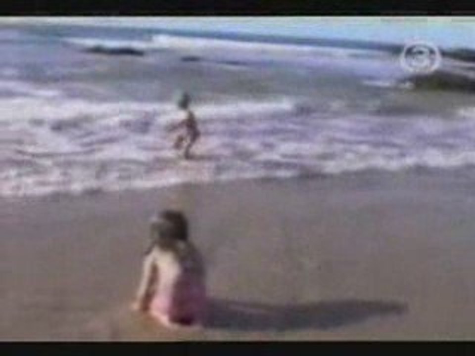 Beach Compilation!