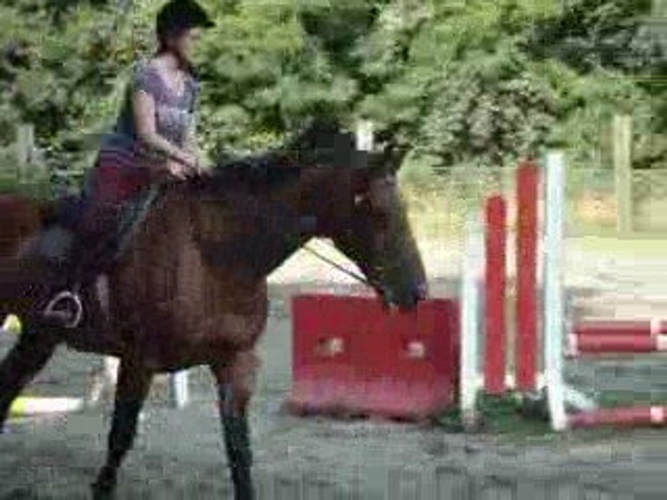 Mon beau ptit parcour d'obstacle