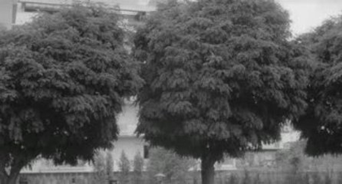 L'eclipse 7 (fin)