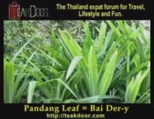 Learn Thai - Spices & Herbs