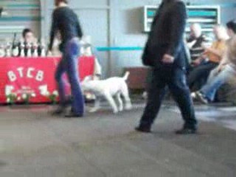 Satyricon Could it be Magic CETS 2009