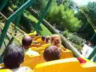 le tigre de siberie - LE PAL