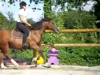 moi et mon cheval