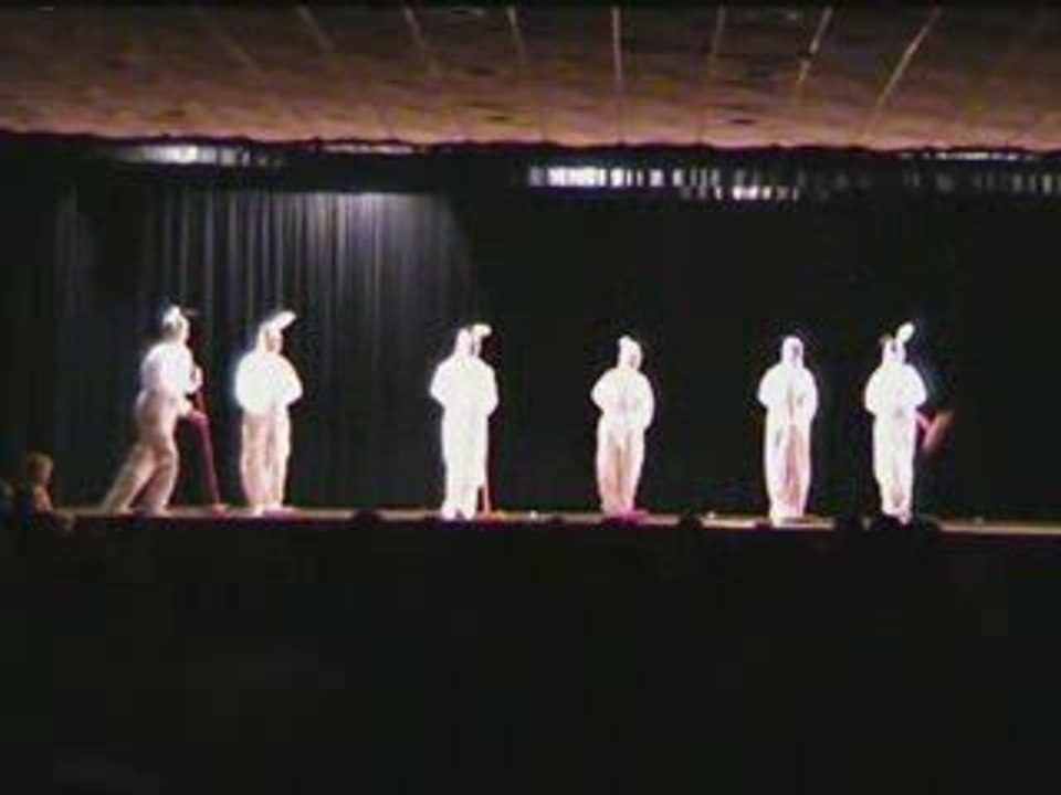 ART TERRE SPECTACLE 2008 14 15 ans