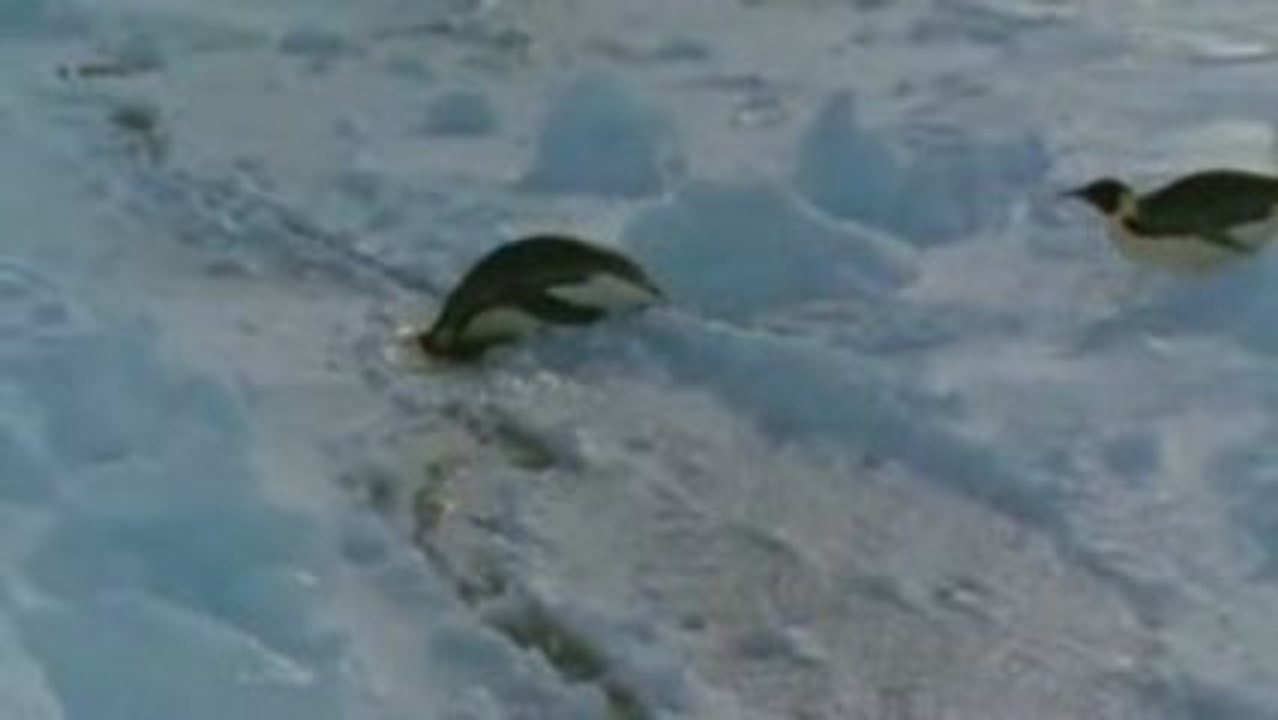 J. M. Jarre - Oxygene 4 - Extended Version