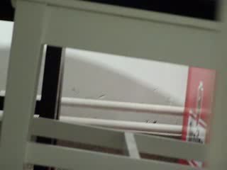 le chat et la chauve souris part1...