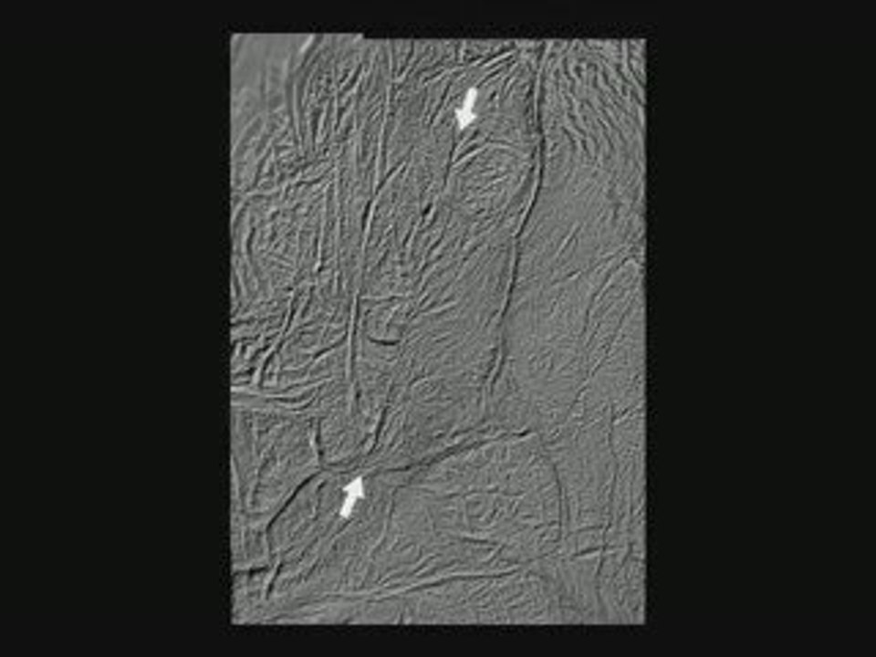 Tectonique sur Encelade