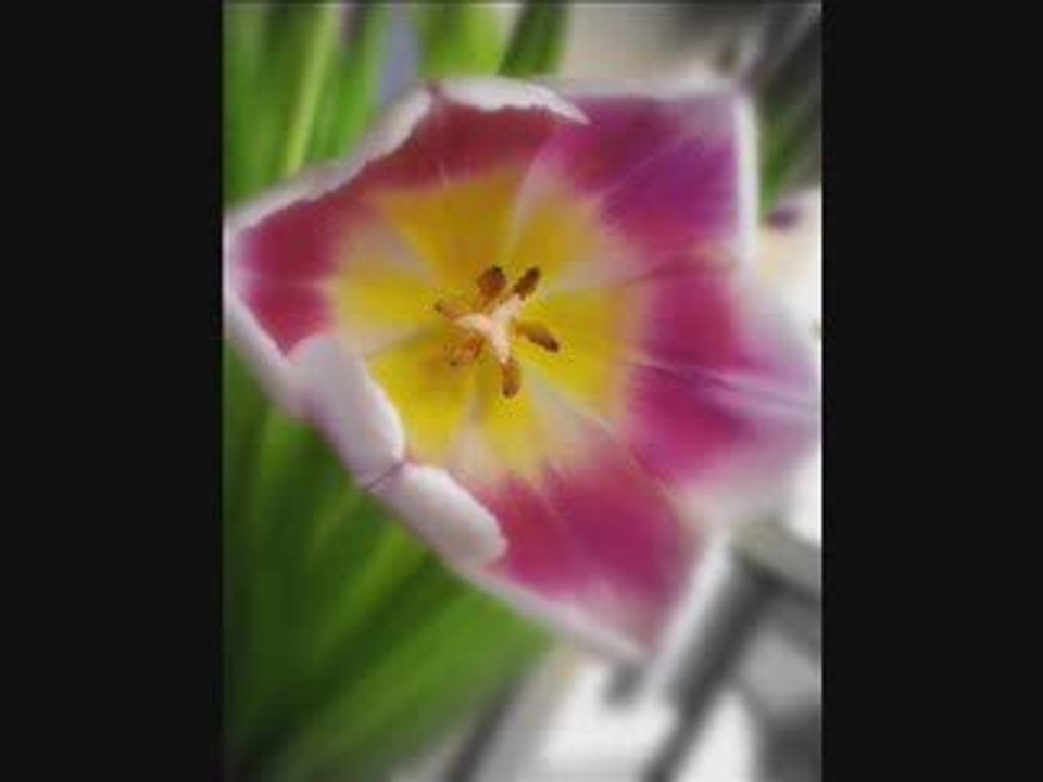 video10