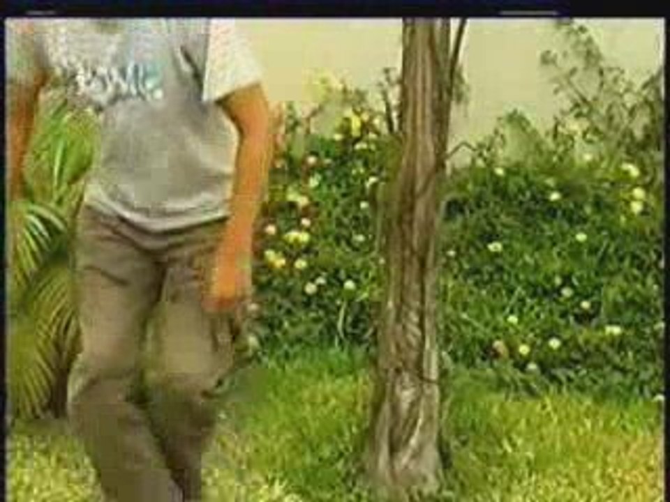 Salsa Kids - Siempre USMP