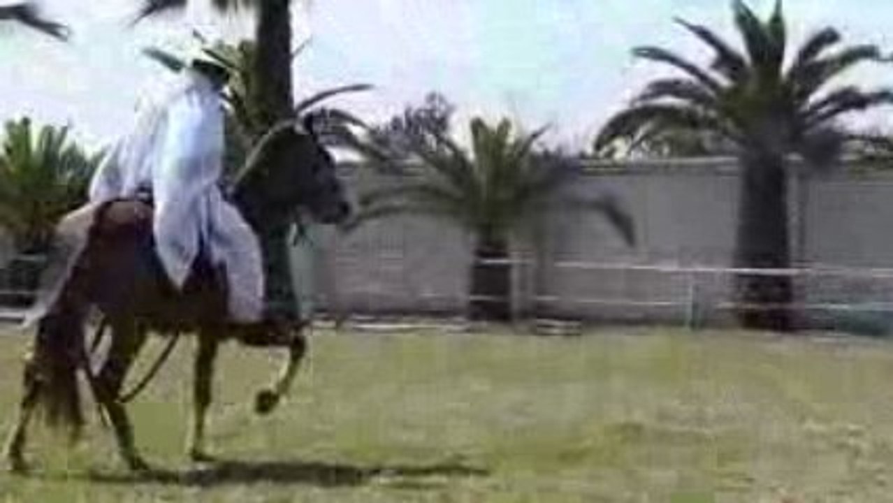 paso peruano