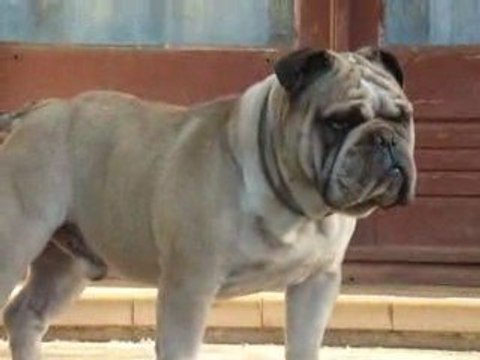 14.08.09 ERNESTINE ET MARCEL 79