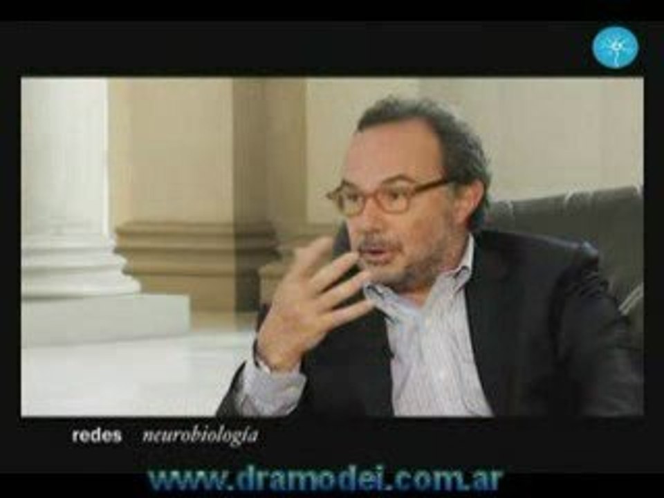 DR AMODEI