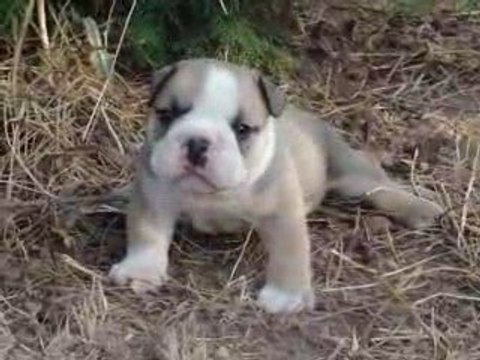 14.08.09 E MARCEL 88