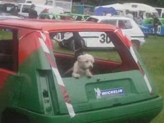 fun car de la chartreuse