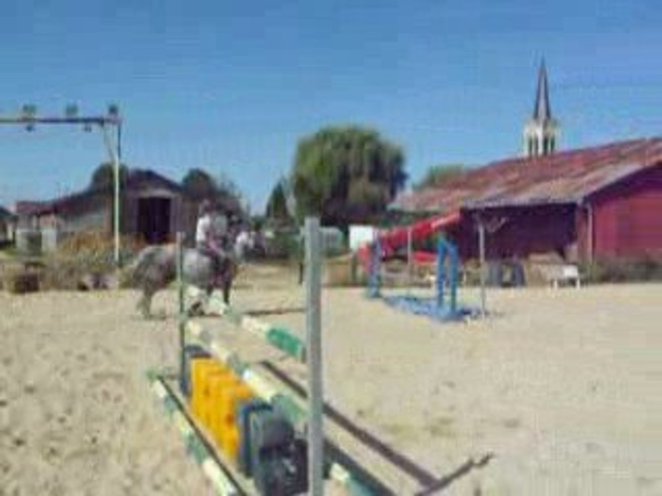 Unie Blue   ponette cso