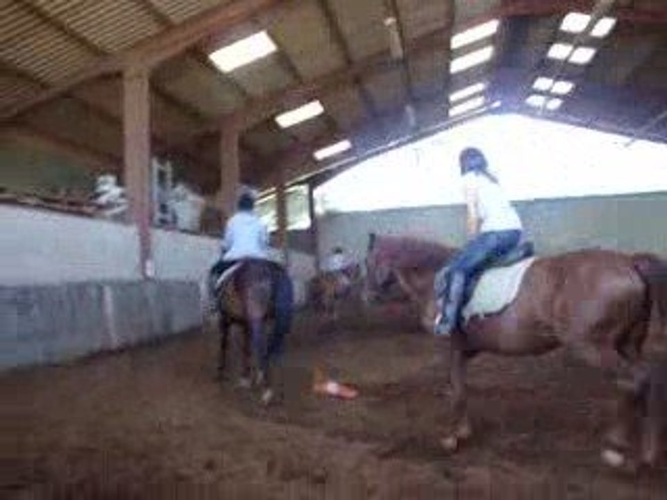 3 eme cours d'équitation de sylvie