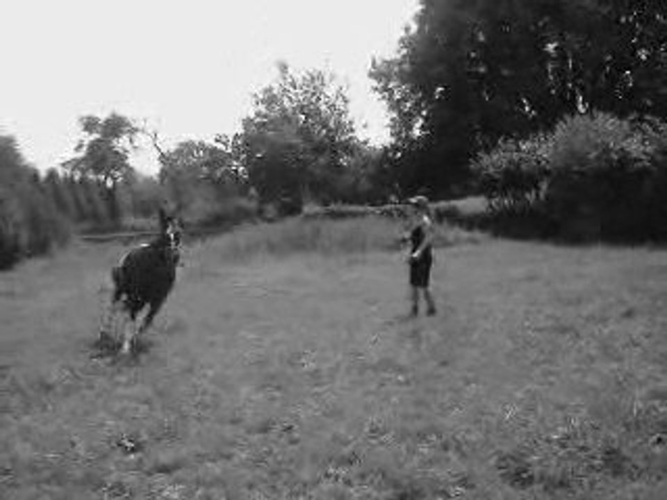 Luciole: Juillet-Aout 2009