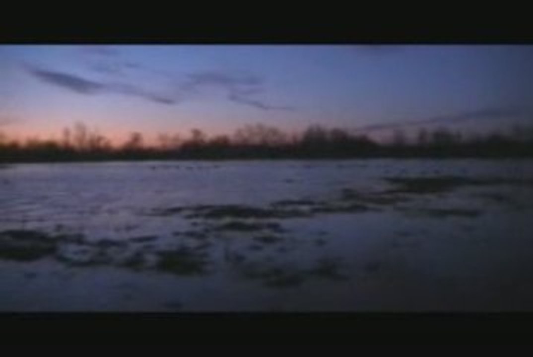 chasse au gibier d'eau dans le marais de nalliers