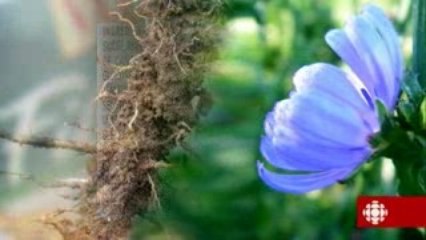 L'épicerie - Les barres de céréales