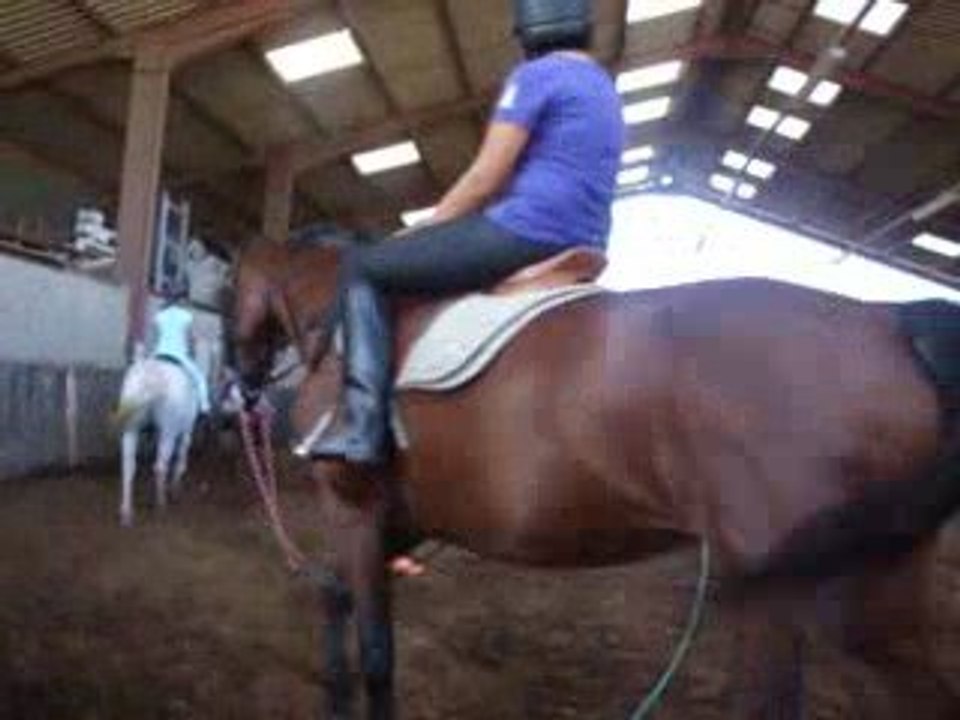3 eme cours d'équitation de sylvie