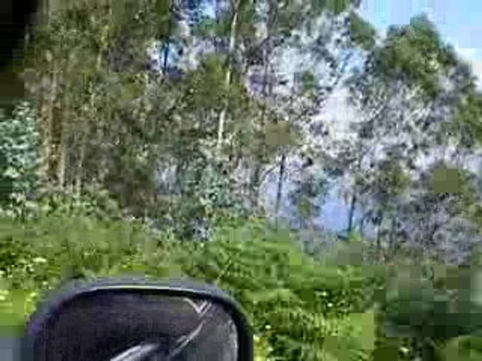 Viaje por alrededores  de la Franca