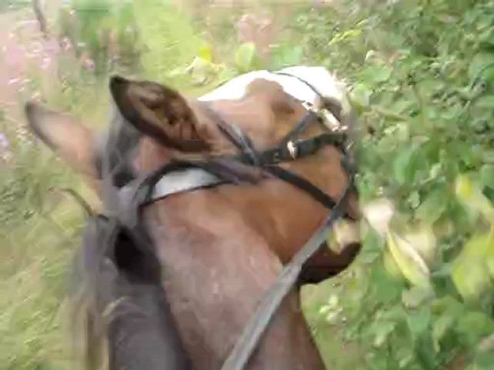 Clara, Princesse et moi, Obsession