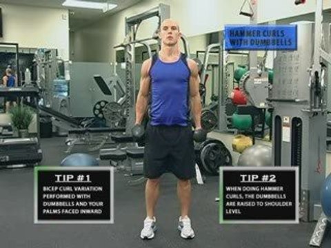 DB Hammer Curls | Bicep Exercise