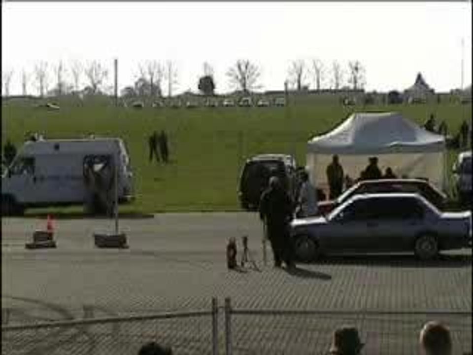 Run Golf 16T Syncro VS BMW E30