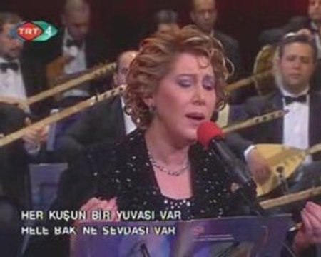 Bircan Pullukcuoglu - Güz Mü Geldi Rengin Soluk CP