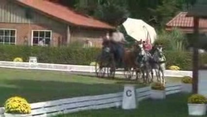 greven 2009 - dressage de Gilles Ariat