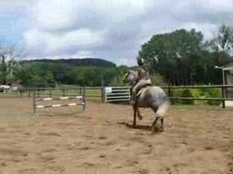 Opium au saut, barres en V.