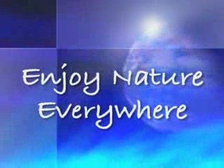 Low Cost Video Production: How to Brand Your Video