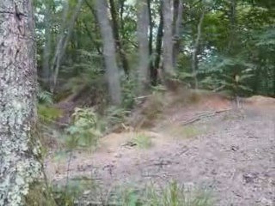 freeride 64 dirt