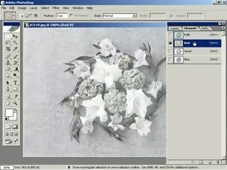 photoshop da ayni anda birden fazla kanali gorebilmek