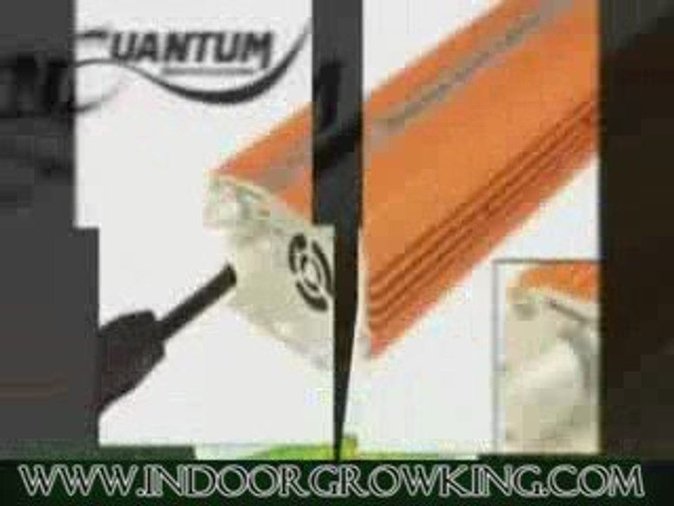 Looking For Hydroponic Equipment? Visit IndoorGrowKing.com!