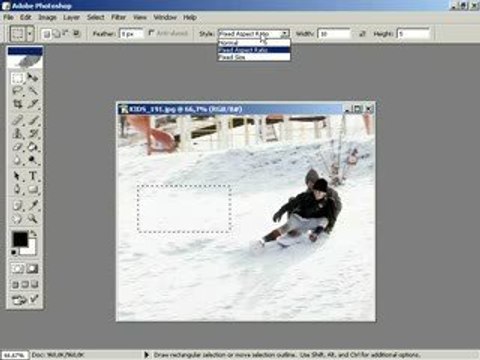 photoshop da bir alani belirtilen olculerde secmek