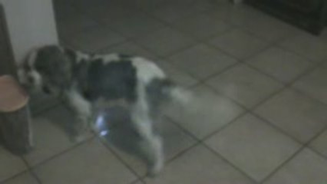 2009 08 01 clovis embêté par titauto