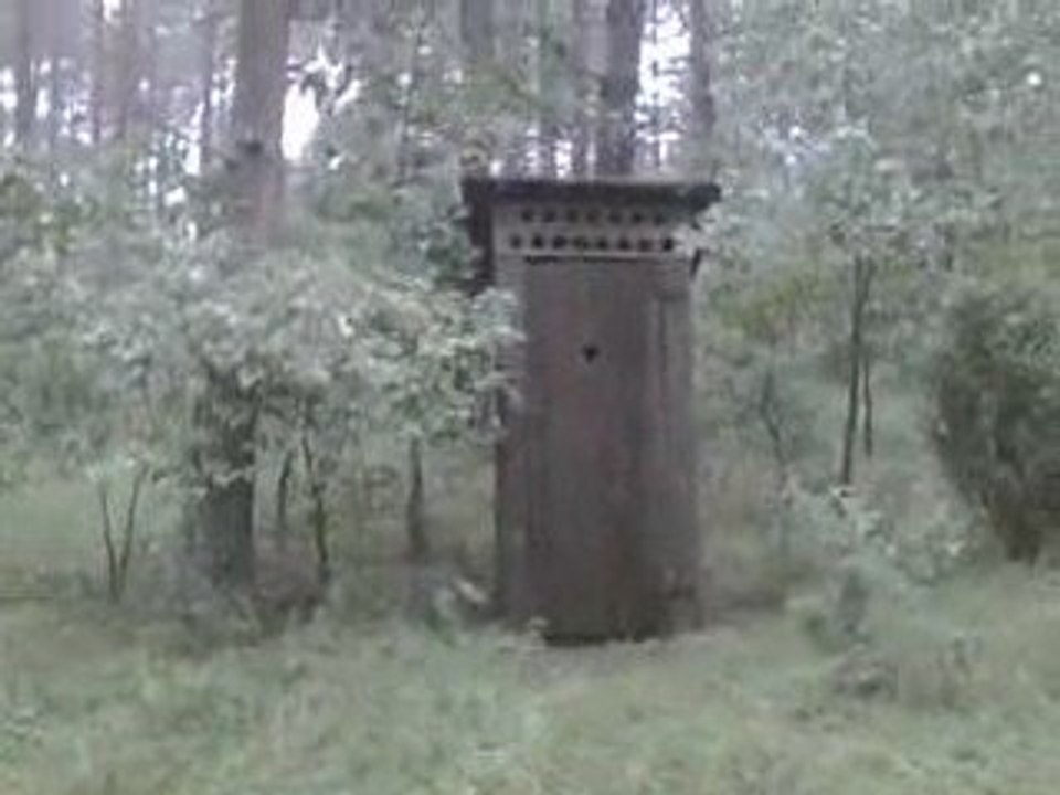 klasyka wychodek...