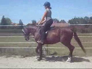 3 ans / polyvalent, je frime mais j'ai besoin de tendresse !