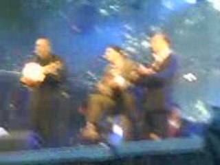 Concert chaabi au festival rioloco 2009