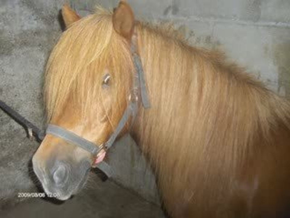 aprem o club , séance foto