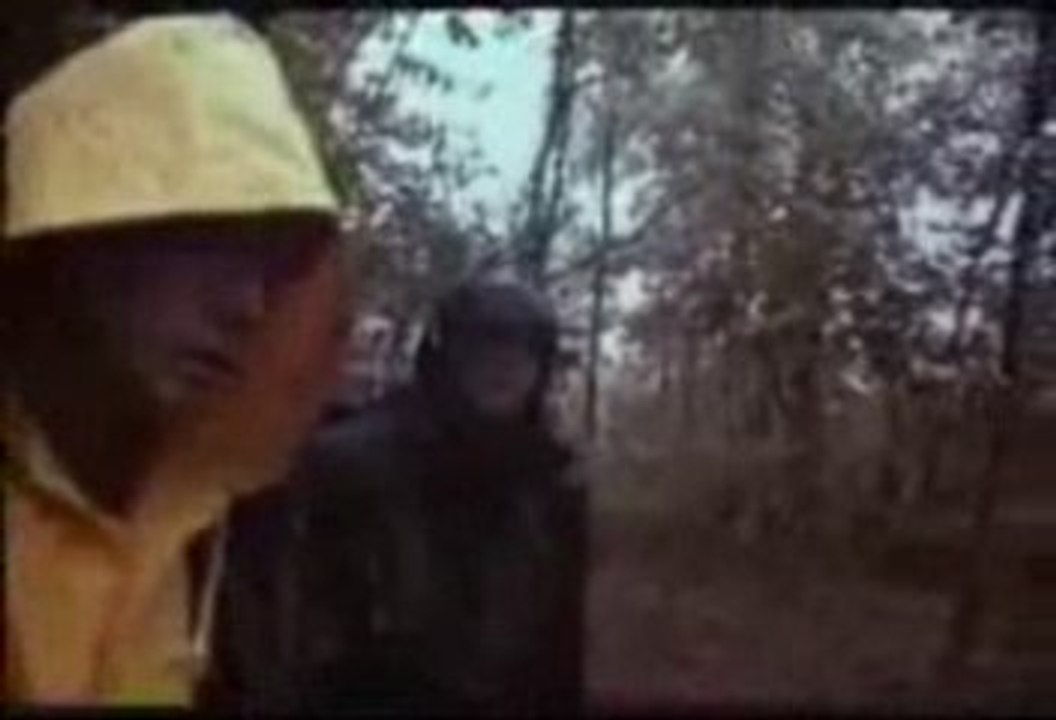 Yo J'aime pas la nature