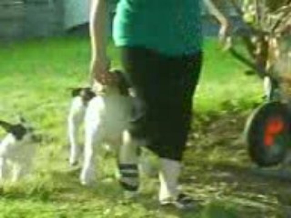 MOV00479