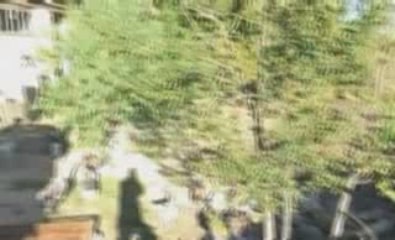 liberté egalité franc maconnerie