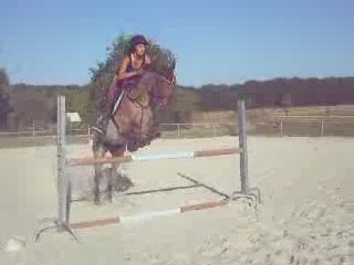 Dixie 1m05 avec moi