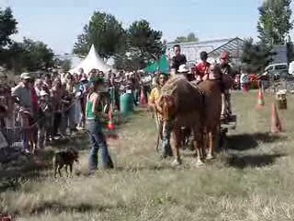 MOV00092