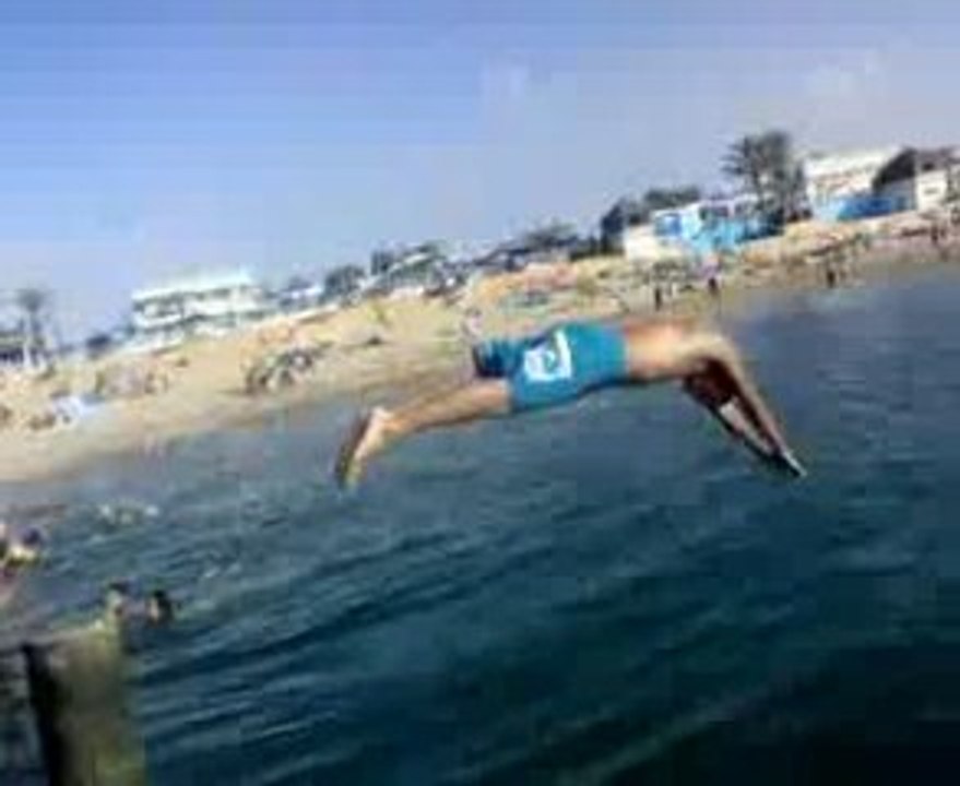 plonge