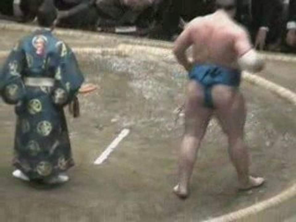 sumo