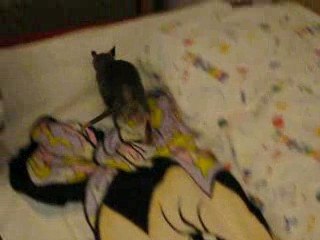 La première sortie de Dobby!  (4 août 2009)
