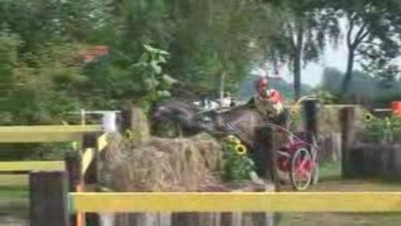 Johan H2